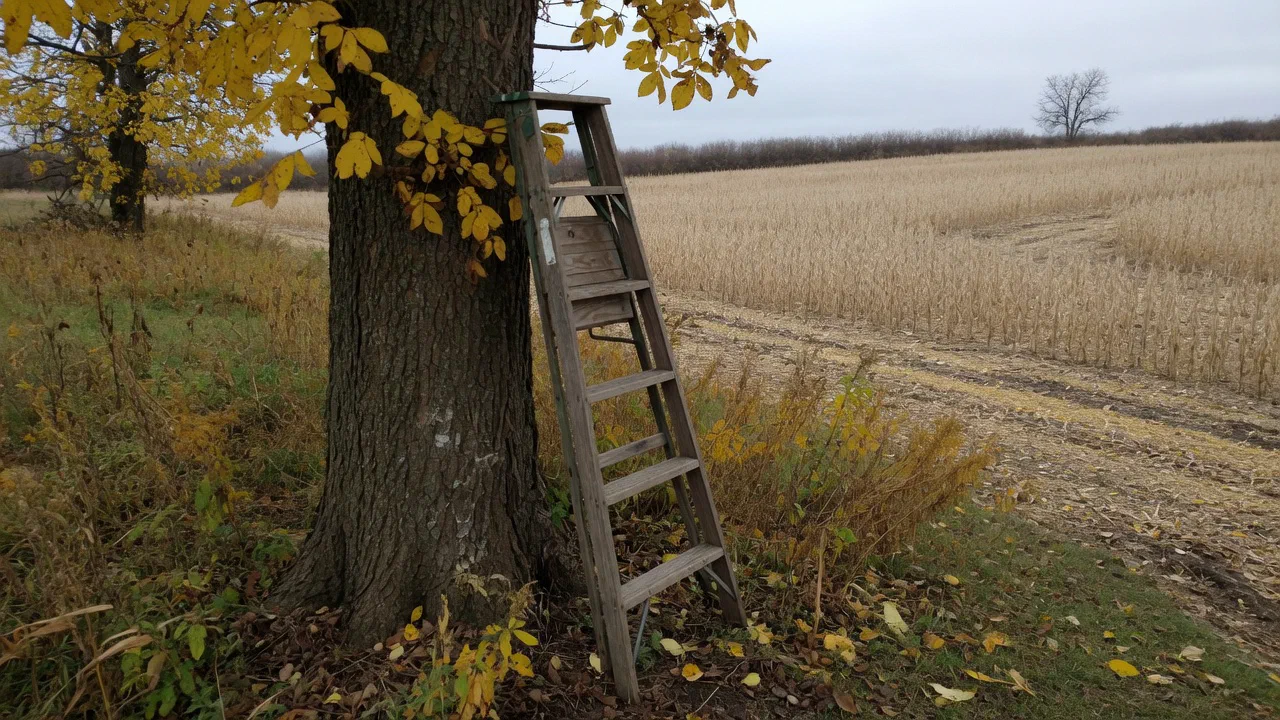 Tactics and Strategies - Turkey Hunting in Ohio