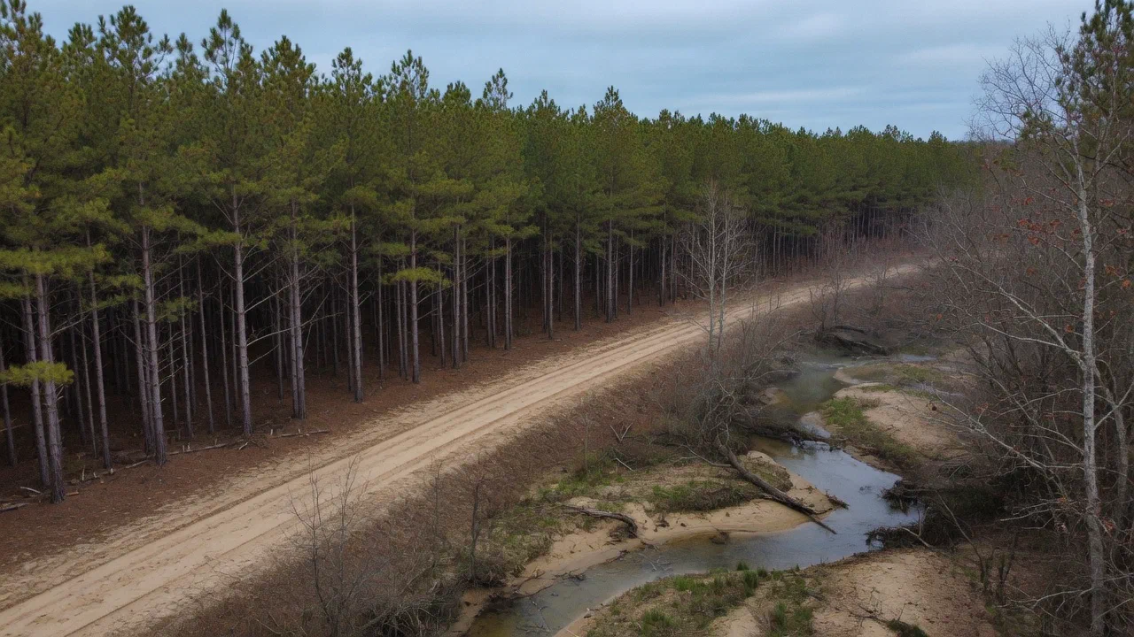 3. Popular Game by Access Type - Georgia Hunting Land: Your Guide to Public and Private Access