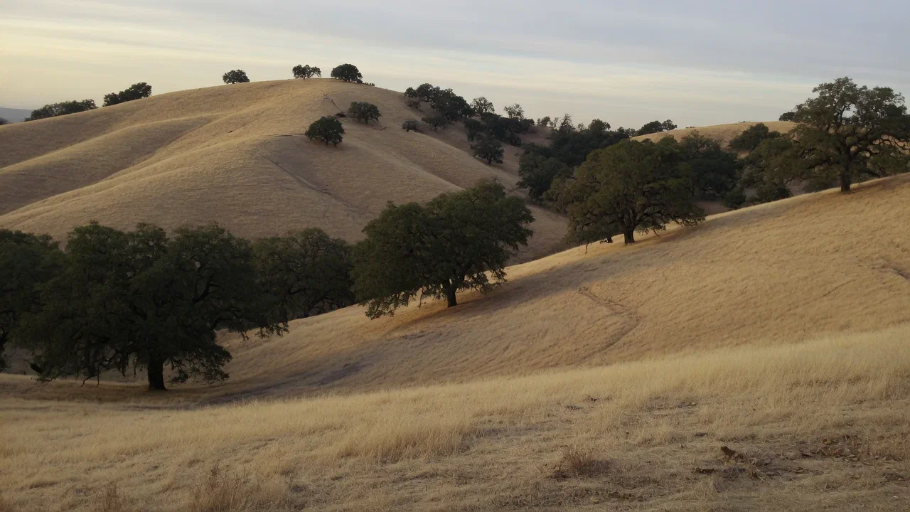 Access types in California - Hunting in California