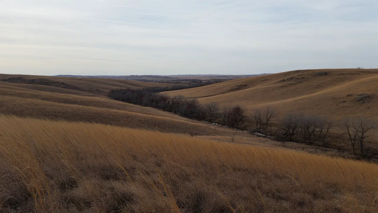 Access types in Kansas - Hunting in Kansas