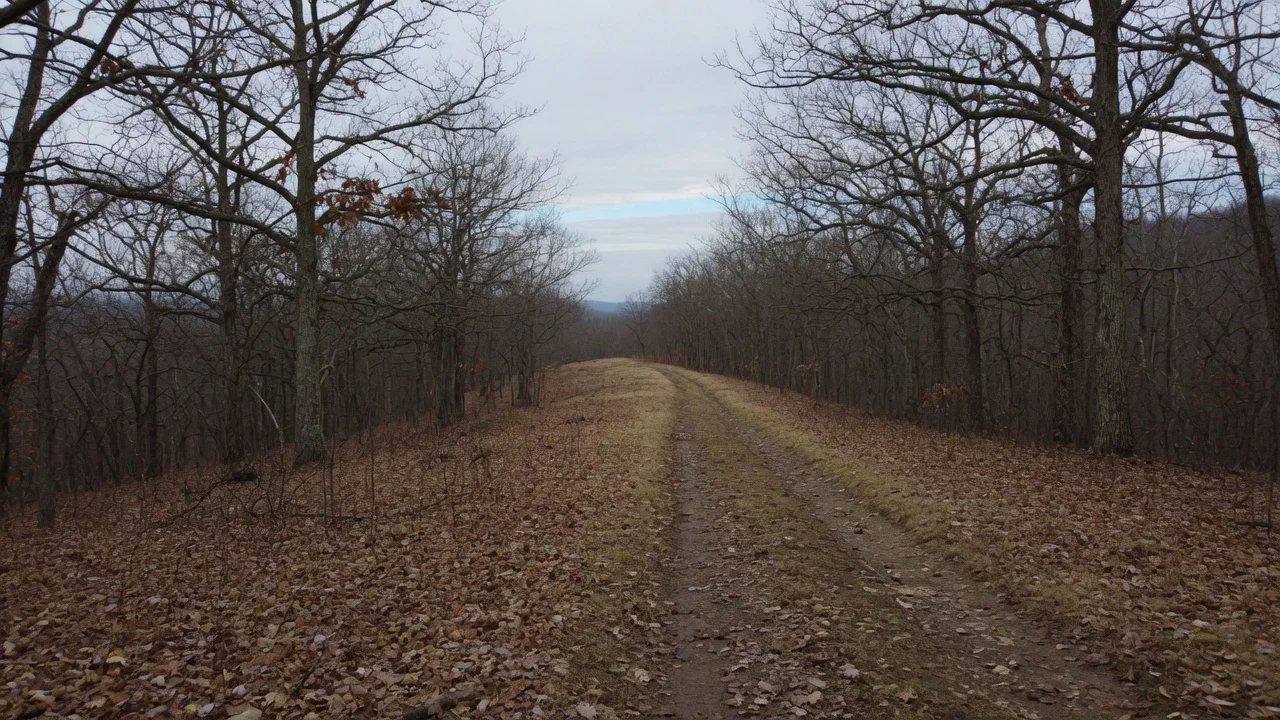 Reporting a Violation - Hunting Laws by State: Navigating Regulations for a Safe Hunt