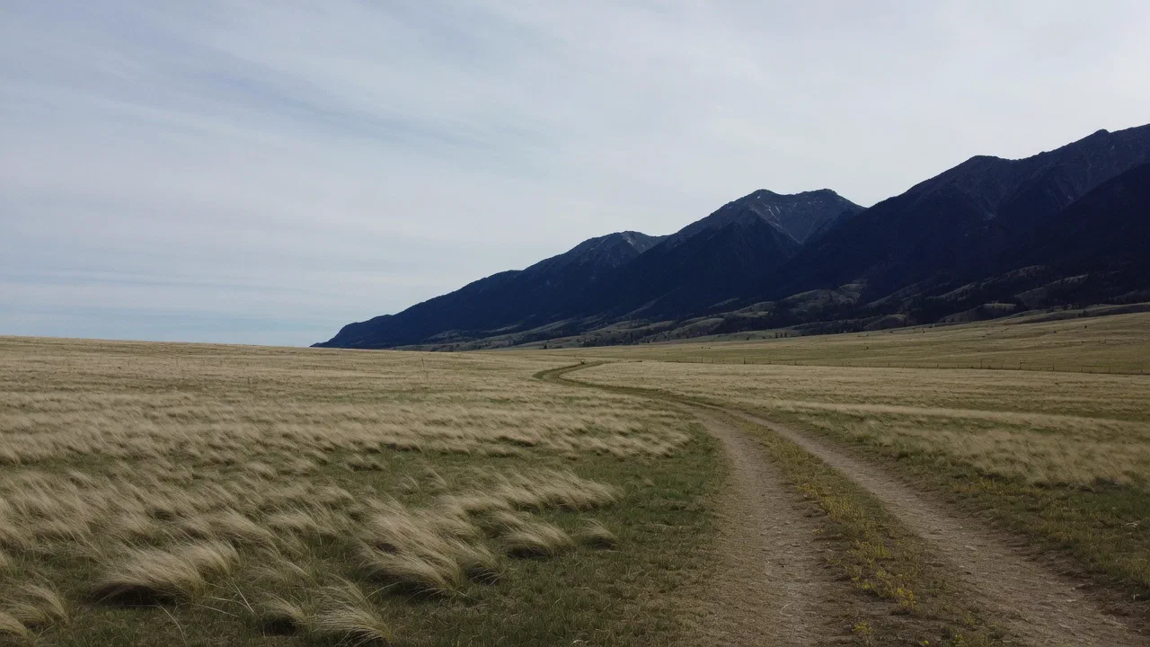 General Season Structure - Montana Hunting Season: Your Essential Guide to Dates and Regulations