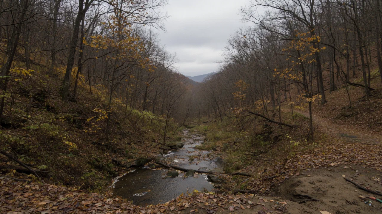 Small Game Seasons - Virginia Hunting Season: Your Essential Guide to Dates and Regulations